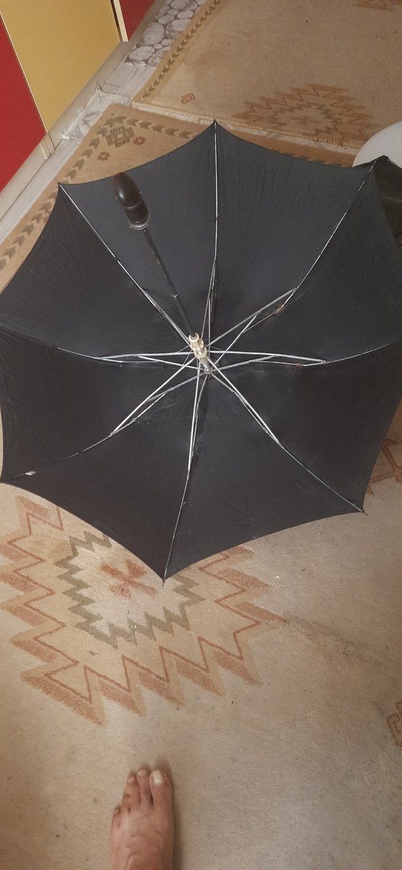 Parlak Siyah Gotik erkek Şemsiye - Görsel 3