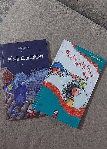 Kedi günlükleri-Bitlendiğimiz yıl