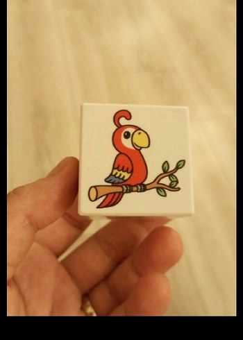Beden Renk Hayvan Figürlü Eğitici Bloklar