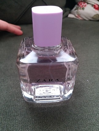 Zara Gardenia