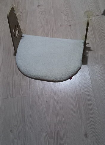  Beden Renk Kediler için cam oturaği