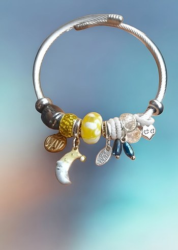 Beden Charmlı pandora model Bileklik