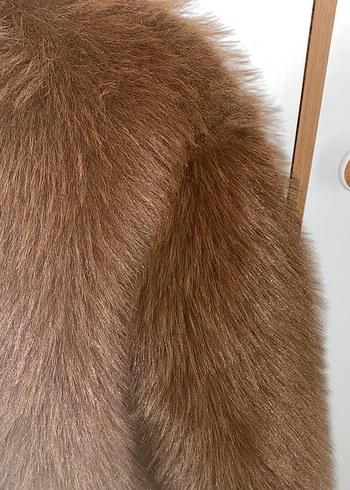 Kahverengi Kürk - Görsel 3