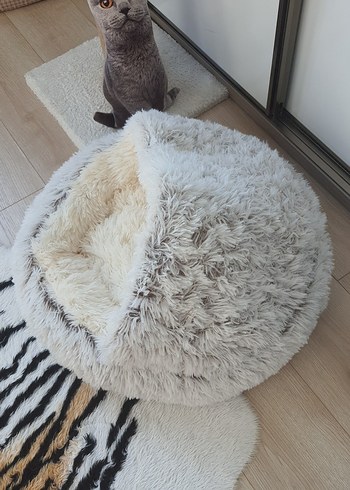 Bej ve gri tüylü kedi yatağı - Görsel 4