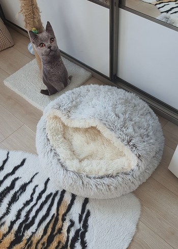 Bej ve gri tüylü kedi yatağı - Görsel 5