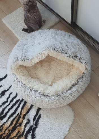 Bej ve gri tüylü kedi yatağı - Görsel 3