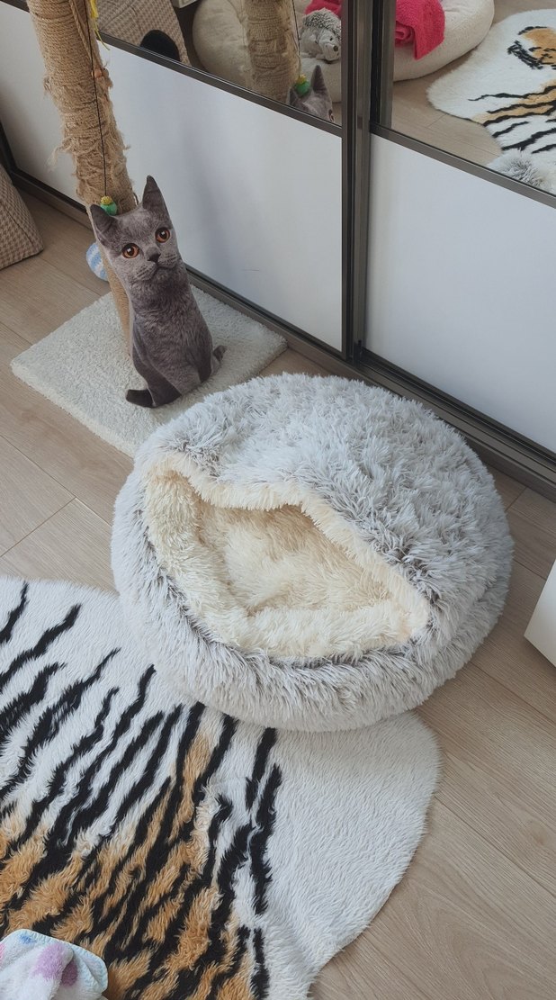 Bej ve gri tüylü kedi yatağı - Görsel 5