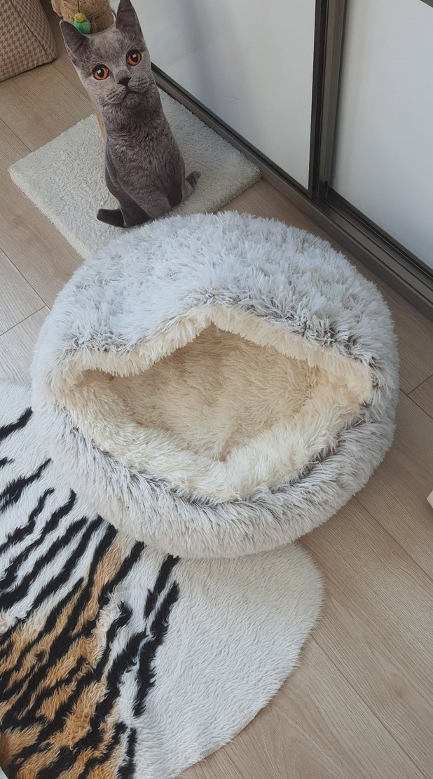 Bej ve gri tüylü kedi yatağı - Görsel 3