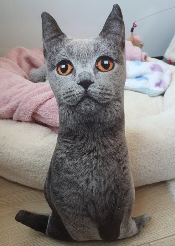 Kedi yastigi - Görsel 3