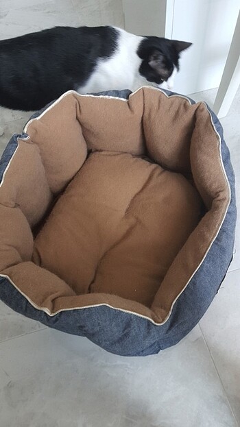 Kedi yatagi - Görsel 4