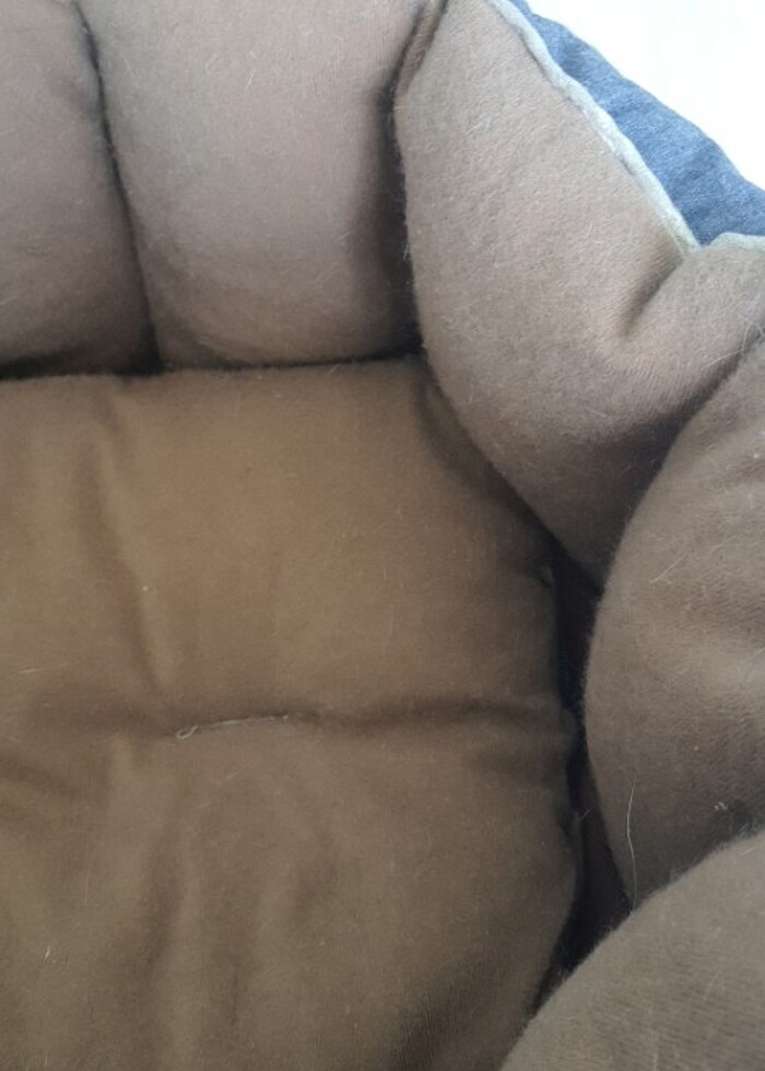 Kedi yatagi - Görsel 3