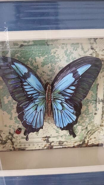 Duvar süsü - Görsel 3