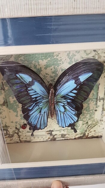 Duvar süsü - Görsel 4