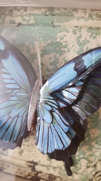 Duvar süsü - Görsel 5