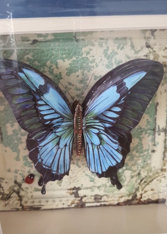 Duvar süsü - Görsel 3