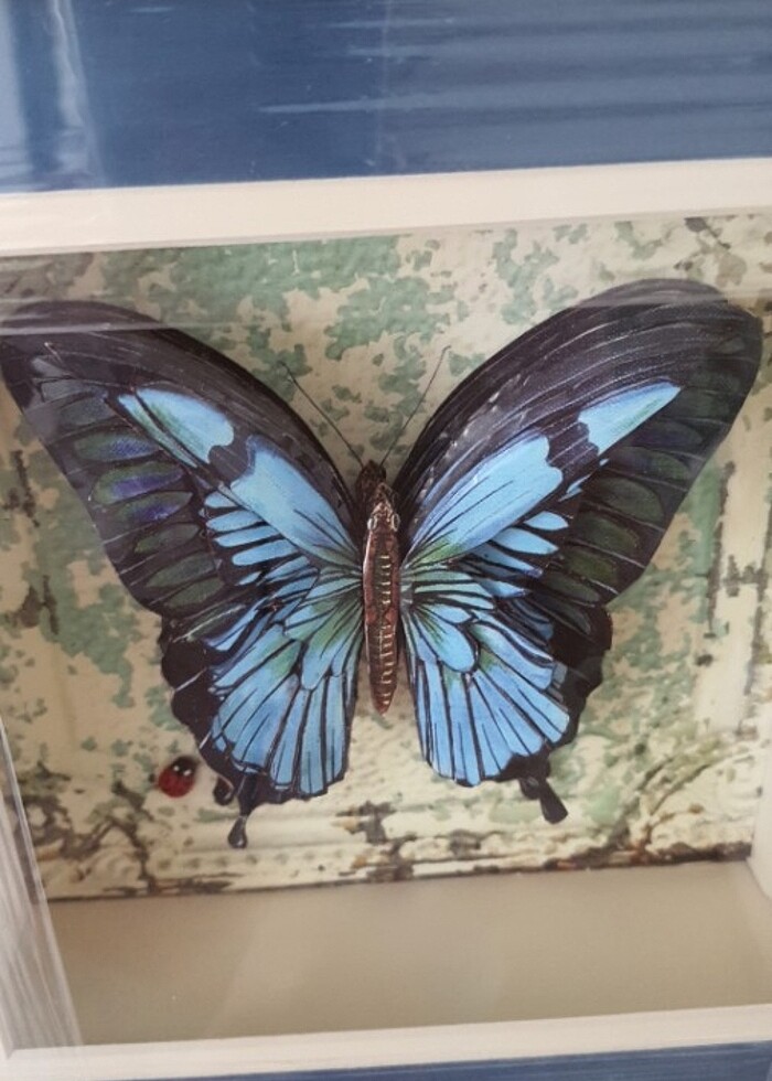 Duvar süsü - Görsel 4