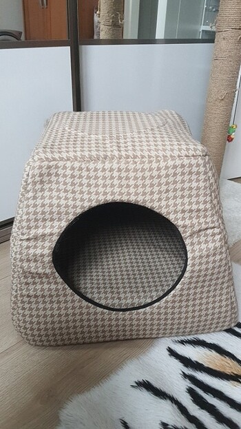 Kedi evi