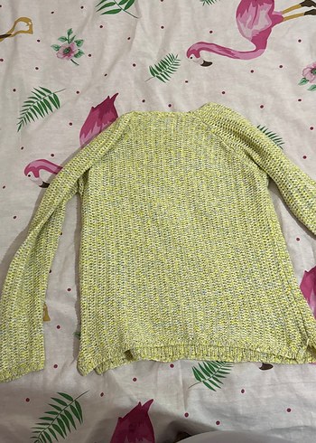 sarı kazak - Görsel 2