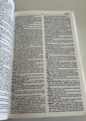 Longman Contemporary English Dictionary - Görsel 3