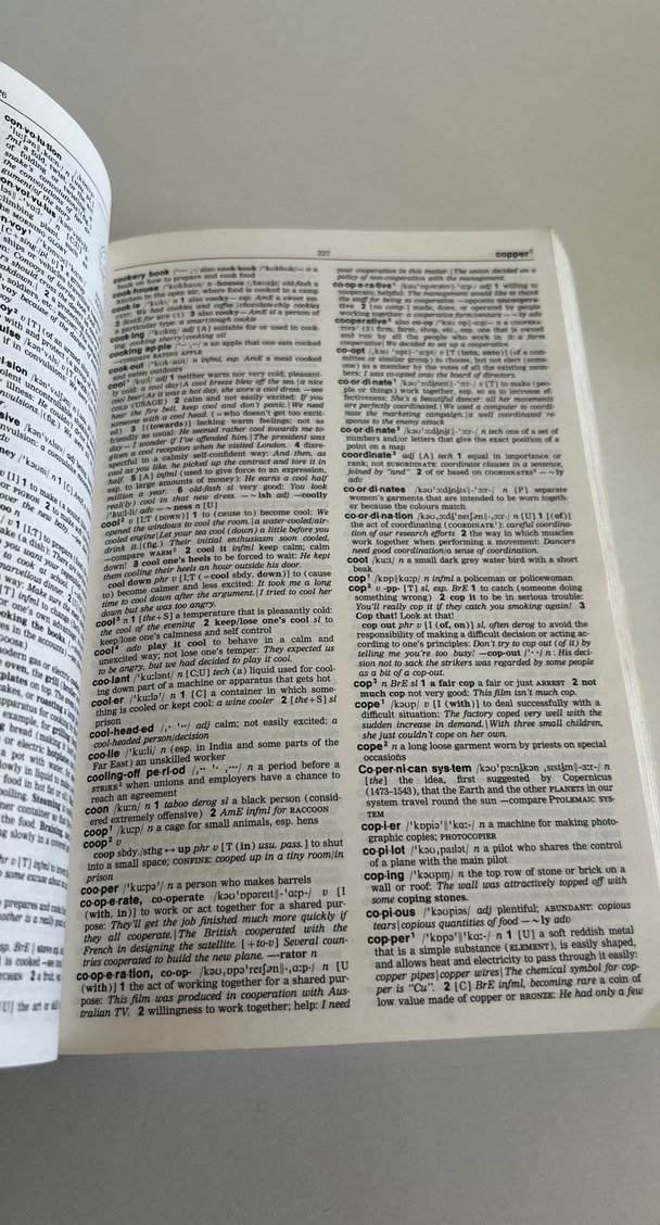 Longman Contemporary English Dictionary - Görsel 3