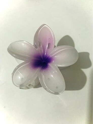 Lotus toka