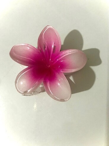 Lotus toka