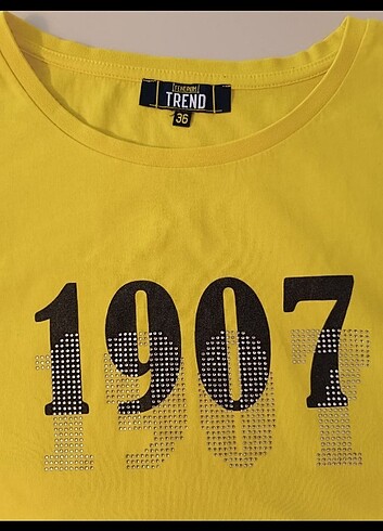 s Beden Fenerium Fenerbahçe Tişört 