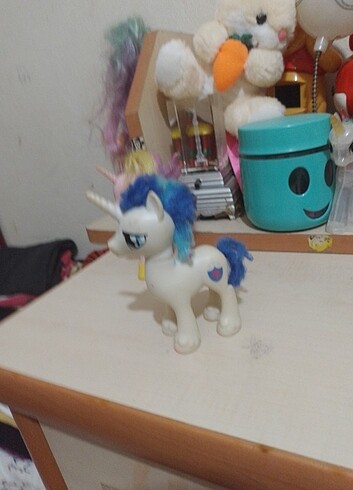 erkek pony