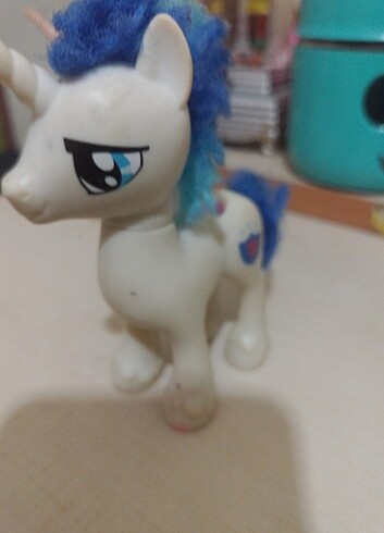  Beden Renk erkek pony