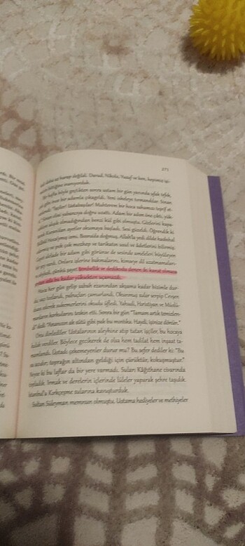  Beden Ustam ve ben elif şafak 