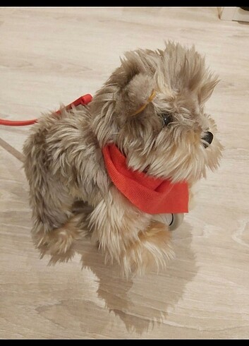  Beden My puppy parade yürüyen köpek
