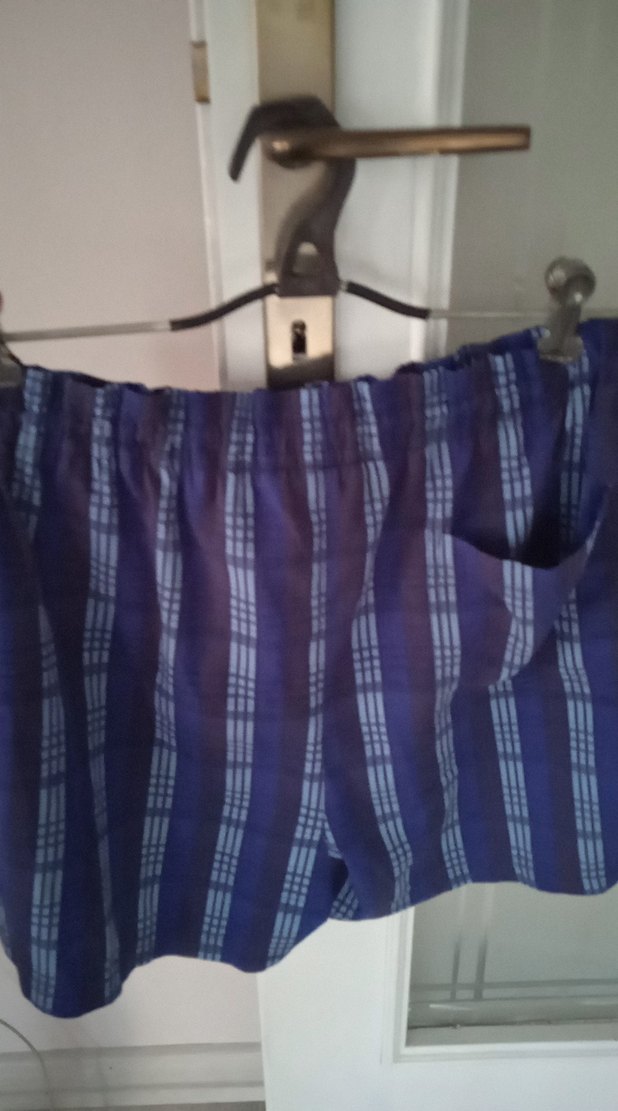 Erkek Mavi mayo Desenli Şort - Görsel 2