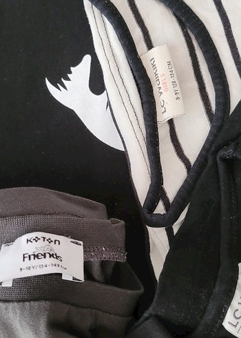 Kız Çocuk Gri Kısa Kollu Pamuk Tişört - Görsel 4