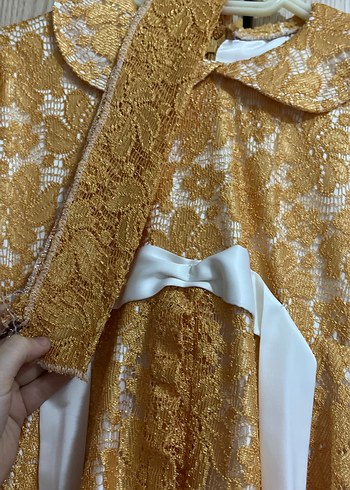 24-36 Ay Beden sarı Renk Uzun Kollu Nakışlı Vintage Kadın Elbisesi