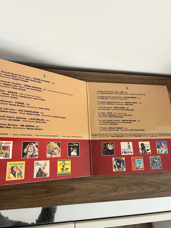 En İyilerle 45'lik Plaklar Kitabı - Görsel 2