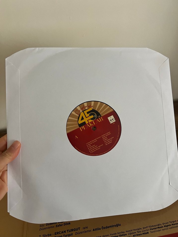 En İyilerle 45'lik Plaklar Kitabı - Görsel 3