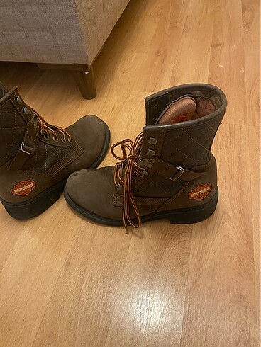 38 Beden Harley davidson bot