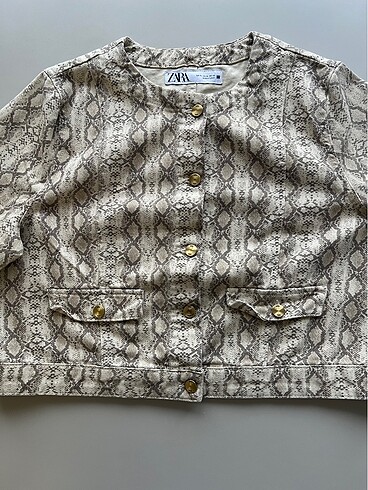 xl Beden camel Renk Zara takım
