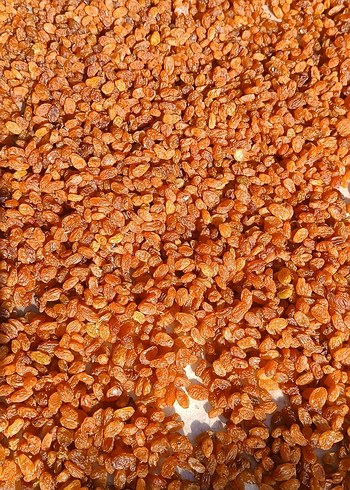 Çekirdeksiz Kuru Üzüm 1 kg - Görsel 2