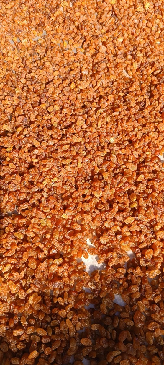 Çekirdeksiz Kuru Üzüm 1 kg - Görsel 2