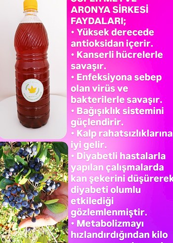 Ev yapımı Aronya sirkesi
