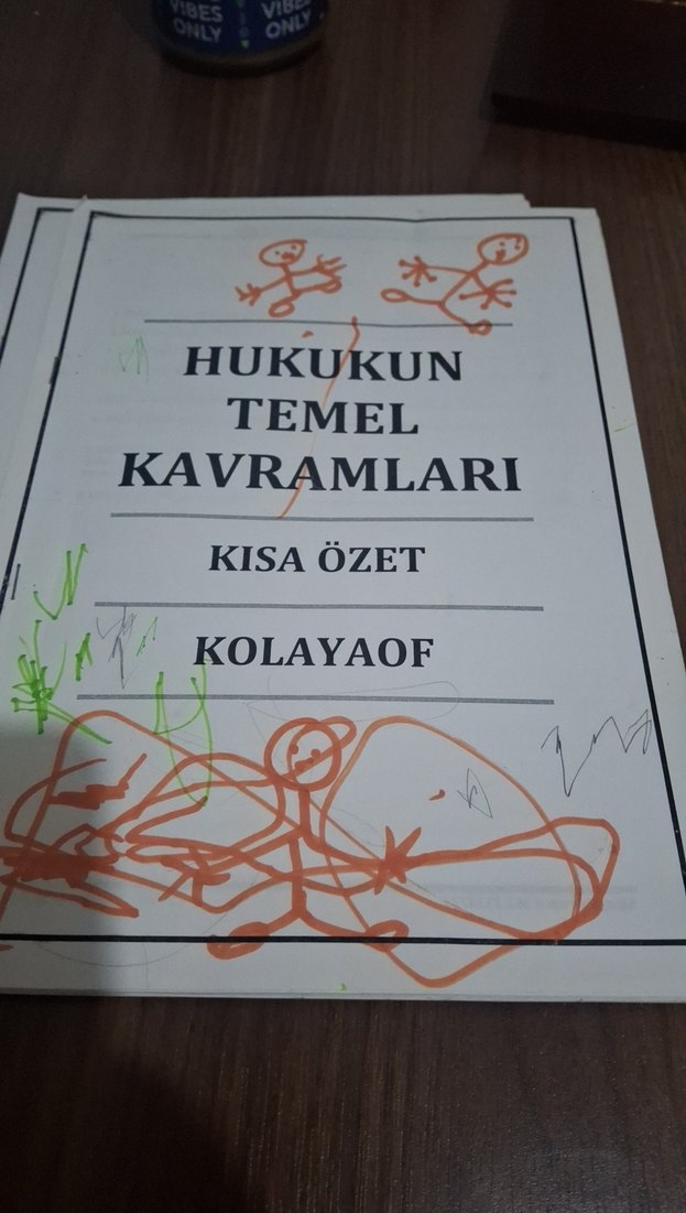 Hukukun Temel Kavramları Kitabı - Görsel 3