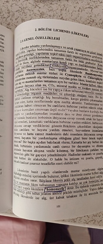  Beden Renk Biyoloji
