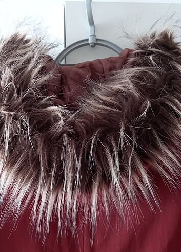 İnce kaban - Görsel 5