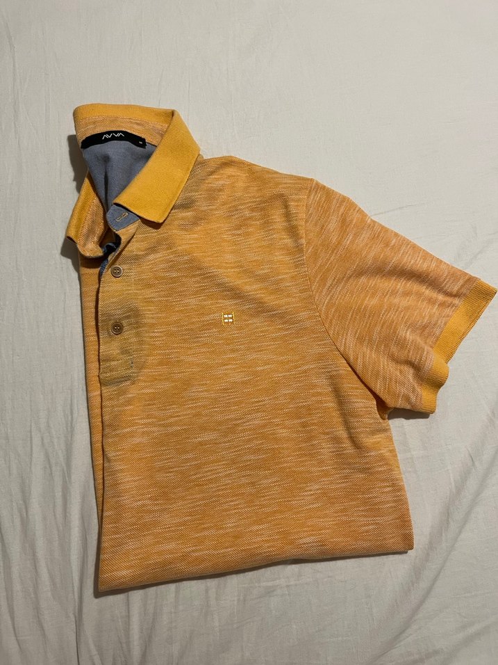 Avva Erkek Polo Tişört - Görsel 4