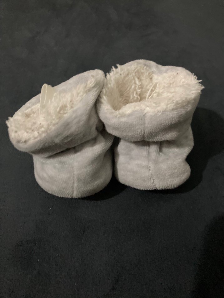 Ev Patiği - Görsel 2