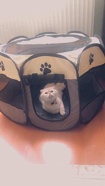 Kevi-Köpek Oyun Parkı
