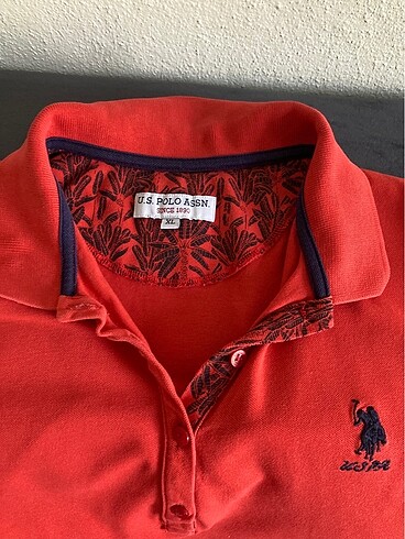 U.S Polo Assn. Tshirt 3 lü