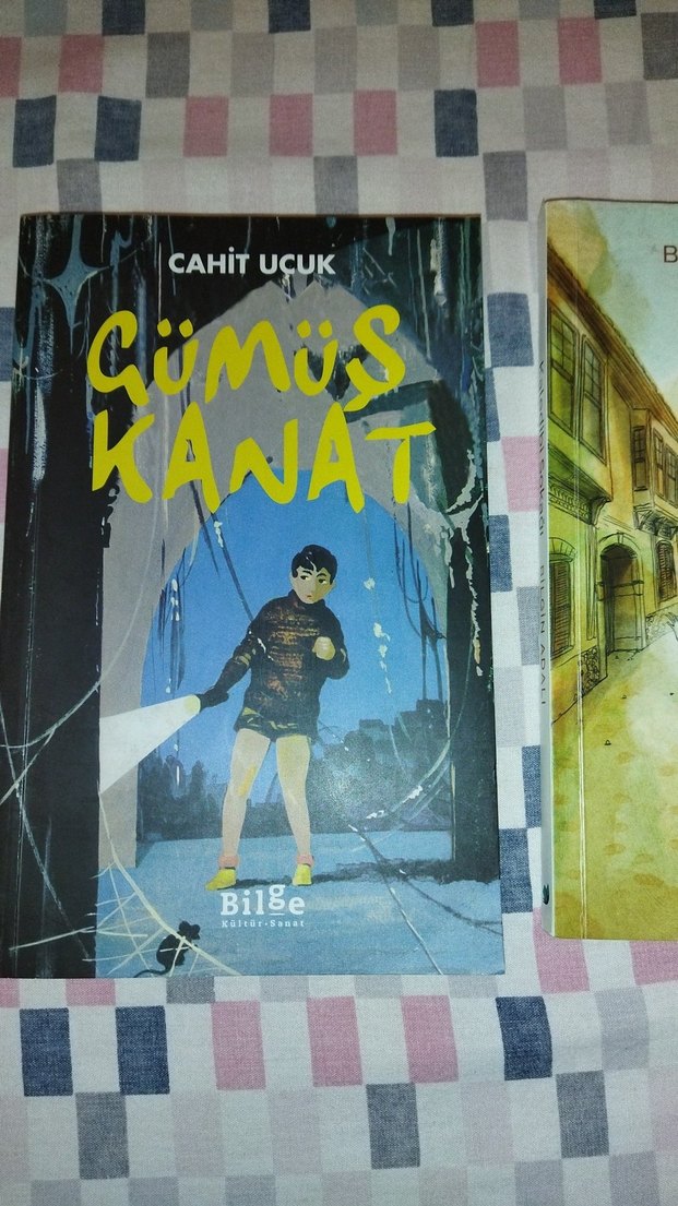 Roald Dahl'dan 3 Roman Kitabı - Görsel 2