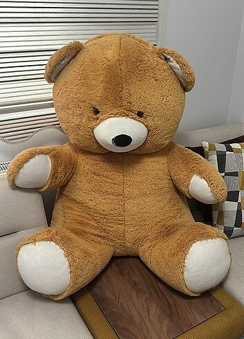 Pelüs ayi - Görsel 2